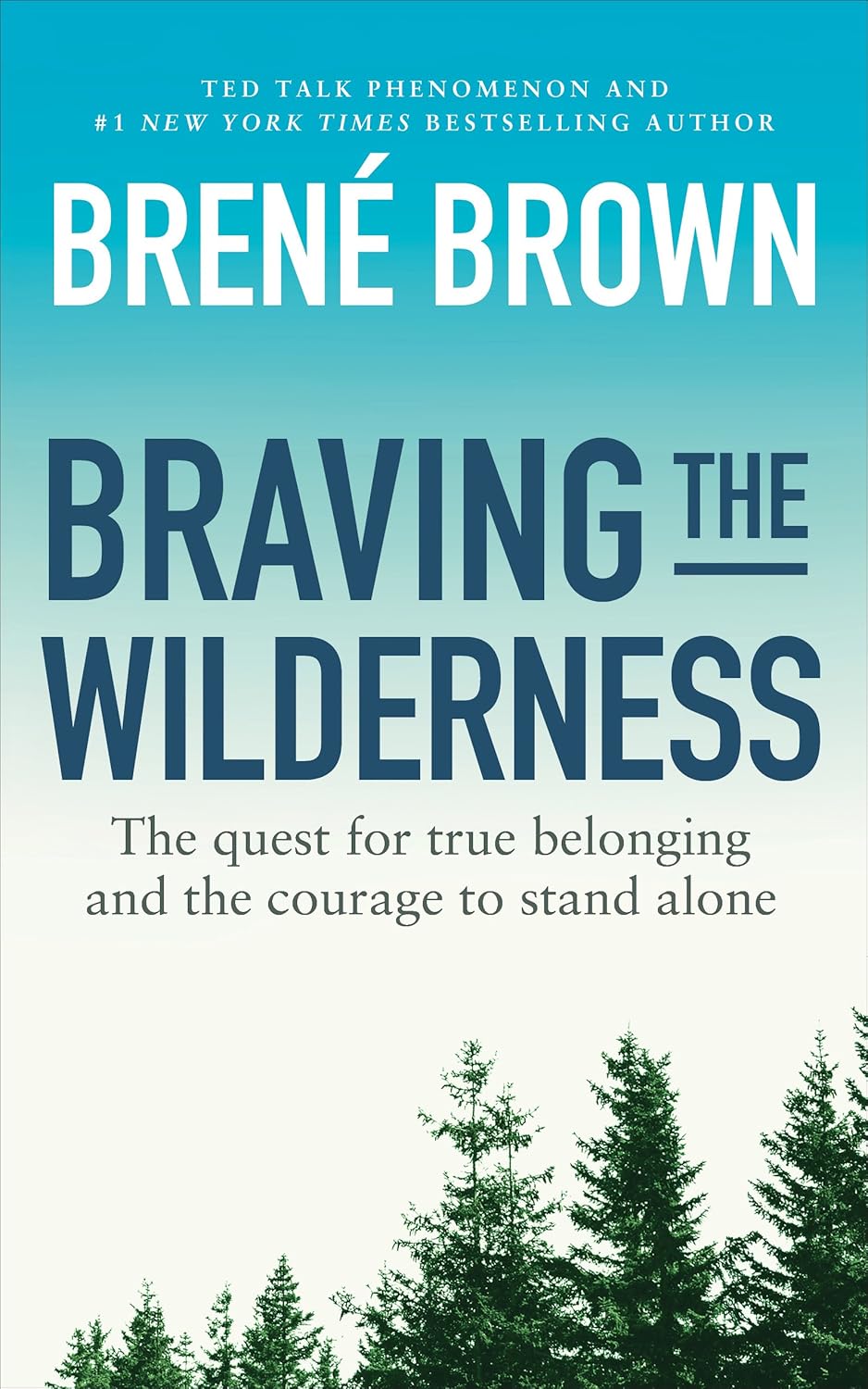 Cover of Braving the Wilderness